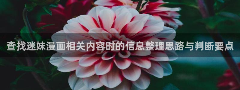 漫漫漫画奇幻漫画